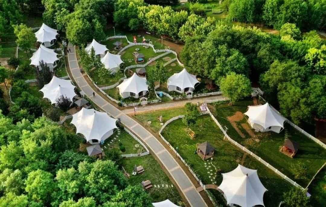 Mai-Che-di-dong-Phuoc-Long-B-Quan-9