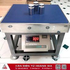 CÂN ĐIỆN TỬ
